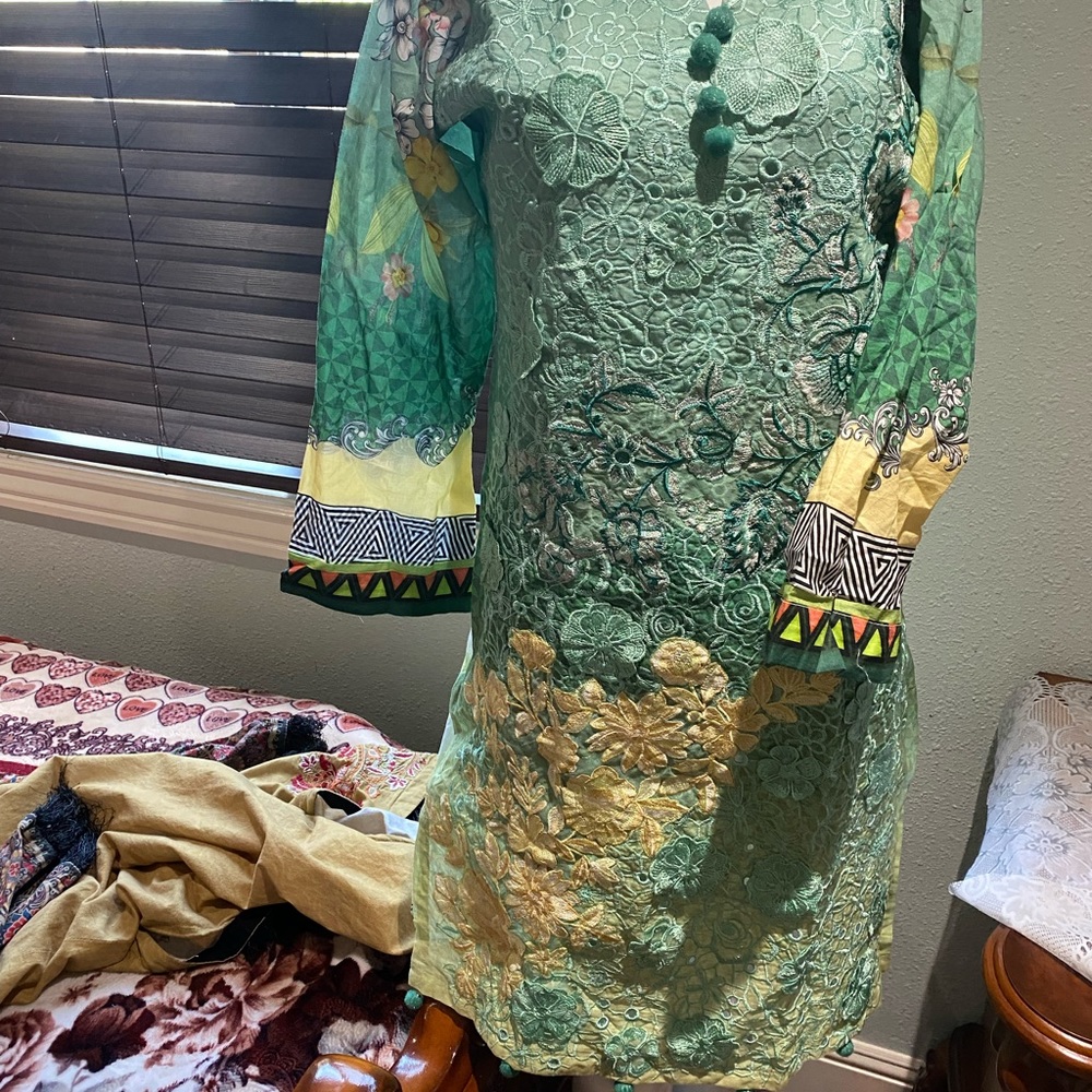 Pakistani Dress - Picture 4 of 12
